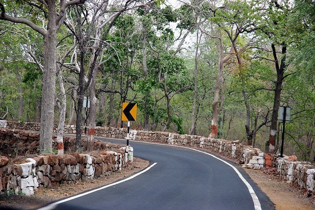 Forest road into Pachmarhi