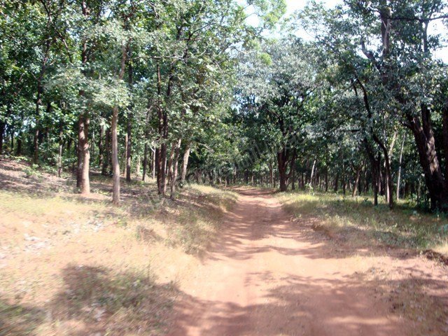 Vanshree Vihar